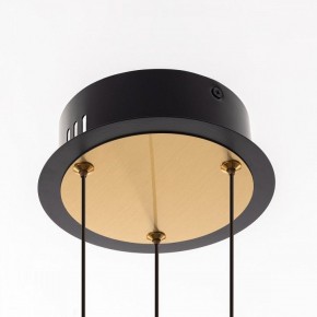 Подвесная люстра Citilux HELLY CL211042 в Талице - talica.ok-mebel.com | фото 11