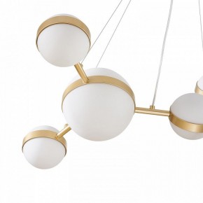 Подвесная люстра Favourite Asterismo 4448-6P в Талице - talica.ok-mebel.com | фото 4