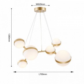 Подвесная люстра Favourite Asterismo 4448-6P в Талице - talica.ok-mebel.com | фото 5