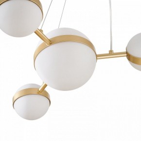 Подвесная люстра Favourite Asterismo 4448-6P в Талице - talica.ok-mebel.com | фото 7