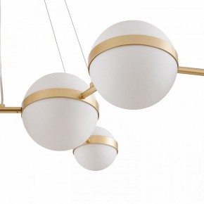 Подвесная люстра Favourite Asterismo 4448-8P в Талице - talica.ok-mebel.com | фото 5