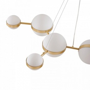 Подвесная люстра Favourite Asterismo 4448-8P в Талице - talica.ok-mebel.com | фото 7