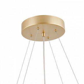 Подвесная люстра Favourite Asterismo 4448-8P в Талице - talica.ok-mebel.com | фото 8