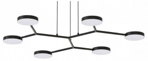 Подвесная люстра Favourite Vorago 4632-6P в Талице - talica.ok-mebel.com | фото