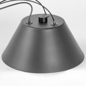 Подвесная люстра Lussole Hopkins LSP-7408 в Талице - talica.ok-mebel.com | фото 7