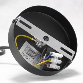 Подвесная люстра Lussole Kenner GRLSP-8271 в Талице - talica.ok-mebel.com | фото 7