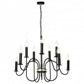 Подвесная люстра Lussole Roosevelt LSP-8198 в Талице - talica.ok-mebel.com | фото 2