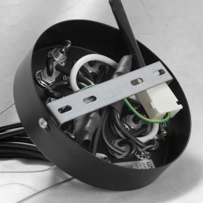 Подвесная люстра Lussole Seneca GRLSP-8177 в Талице - talica.ok-mebel.com | фото 10