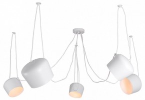 Подвесная люстра Lussole Shirley LSP-8175 в Талице - talica.ok-mebel.com | фото