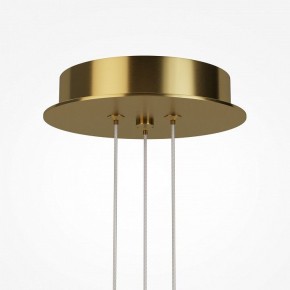 Подвесная люстра Maytoni Arana MOD401PL-L108BS3K в Талице - talica.ok-mebel.com | фото 7