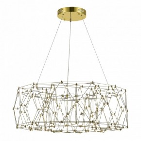 Подвесная люстра ST-Luce Gravetta SL6602.203.48 в Талице - talica.ok-mebel.com | фото 3