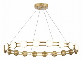 Подвесная люстра ST-Luce MONRO SL6610.203.20 в Талице - talica.ok-mebel.com | фото 2