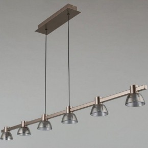 Подвесной светильник Aployt Rezeda APL.788.03.06 в Талице - talica.ok-mebel.com | фото 12