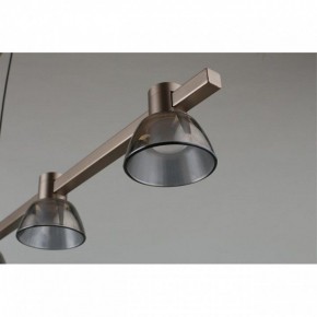 Подвесной светильник Aployt Rezeda APL.788.03.06 в Талице - talica.ok-mebel.com | фото 4