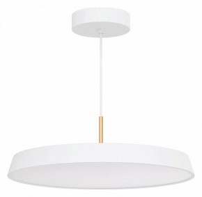 Подвесной светильник Arlight ELEGANT 033925(1) в Талице - talica.ok-mebel.com | фото 2