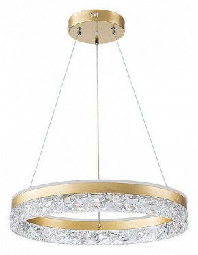 Подвесной светильник Arte Lamp Apollo A2549SP-75GO в Талице - talica.ok-mebel.com | фото 2
