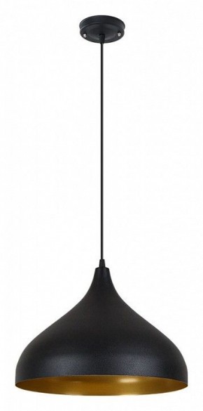 Подвесной светильник Arte Lamp Carmel A7076SP-1BK в Талице - talica.ok-mebel.com | фото 2