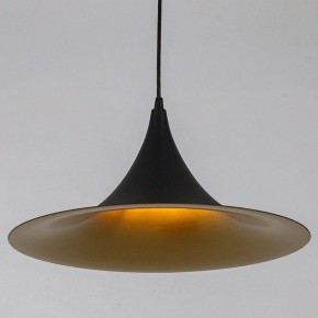 Подвесной светильник Arte Lamp Carmel A7080SP-1BK в Талице - talica.ok-mebel.com | фото
