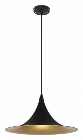 Подвесной светильник Arte Lamp Carmel A7080SP-1BK в Талице - talica.ok-mebel.com | фото 2