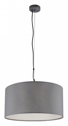 Подвесной светильник Arte Lamp Coppa A4095SP-3GY в Талице - talica.ok-mebel.com | фото 2