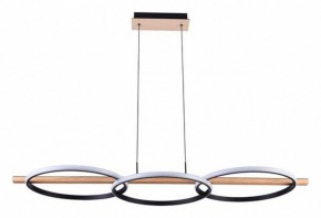 Подвесной светильник Arte Lamp Fluido A3913SP-24BK в Талице - talica.ok-mebel.com | фото 2