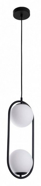 Подвесной светильник Arte Lamp Matisse A7745SP-2BK в Талице - talica.ok-mebel.com | фото 2
