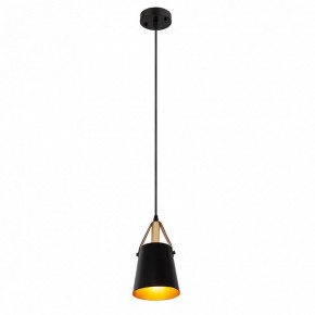 Подвесной светильник Arte Lamp Thomas A7032SP-1BK в Талице - talica.ok-mebel.com | фото 3