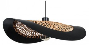 Подвесной светильник Arte Lamp Woodstock A7059SP-1BK в Талице - talica.ok-mebel.com | фото