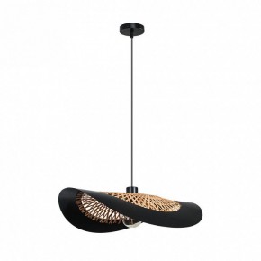 Подвесной светильник Arte Lamp Woodstock A7059SP-1BK в Талице - talica.ok-mebel.com | фото 2