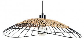 Подвесной светильник Arte Lamp Woodstock A7061SP-1BK в Талице - talica.ok-mebel.com | фото