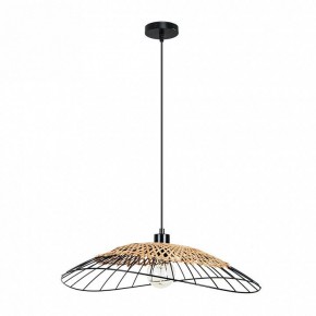 Подвесной светильник Arte Lamp Woodstock A7061SP-1BK в Талице - talica.ok-mebel.com | фото 2