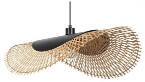 Подвесной светильник Arte Lamp Woodstock A7063SP-1BK в Талице - talica.ok-mebel.com | фото