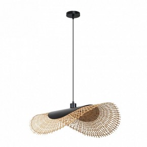 Подвесной светильник Arte Lamp Woodstock A7063SP-1BK в Талице - talica.ok-mebel.com | фото 2
