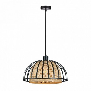 Подвесной светильник Arte Lamp Woodstock A7071SP-1BK в Талице - talica.ok-mebel.com | фото