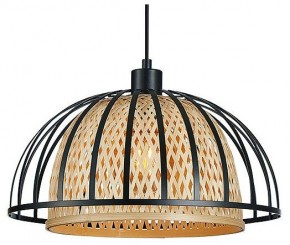 Подвесной светильник Arte Lamp Woodstock A7071SP-1BK в Талице - talica.ok-mebel.com | фото 2