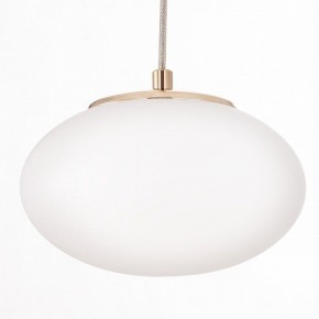 Подвесной светильник Citilux Atman Smart CL226A053 в Талице - talica.ok-mebel.com | фото 10