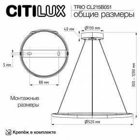Подвесной светильник Citilux Trio CL215B051 в Талице - talica.ok-mebel.com | фото 8