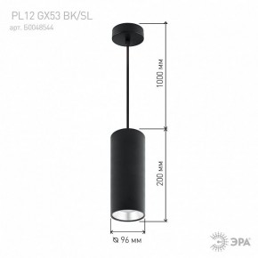 Подвесной светильник Эра  PL12 GX53 BK/SL в Талице - talica.ok-mebel.com | фото 8