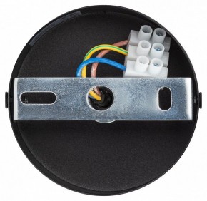 Подвесной светильник Эра  PL12 GX53 BK/SL в Талице - talica.ok-mebel.com | фото 9
