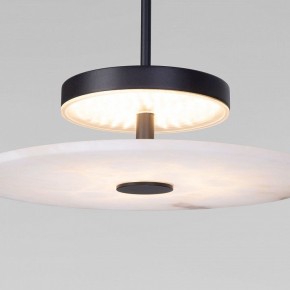 Подвесной светильник Eurosvet Thasos 40342 LED черный в Талице - talica.ok-mebel.com | фото 7