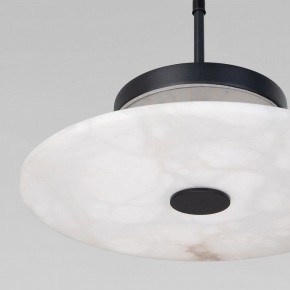 Подвесной светильник Eurosvet Thasos 40342 LED черный в Талице - talica.ok-mebel.com | фото 8
