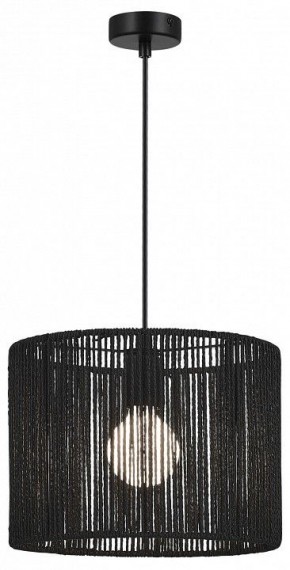 Подвесной светильник EVOLUCE ETTAN SLE6024-403-01 в Талице - talica.ok-mebel.com | фото 2