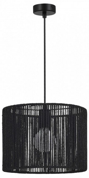 Подвесной светильник EVOLUCE ETTAN SLE6024-403-01 в Талице - talica.ok-mebel.com | фото 4