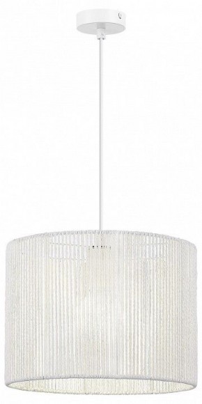 Подвесной светильник EVOLUCE ETTAN SLE6024-503-01 в Талице - talica.ok-mebel.com | фото 2