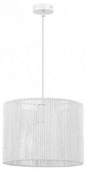 Подвесной светильник EVOLUCE ETTAN SLE6024-503-01 в Талице - talica.ok-mebel.com | фото 4