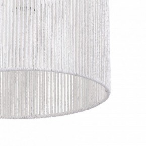 Подвесной светильник EVOLUCE ETTAN SLE6024-503-01 в Талице - talica.ok-mebel.com | фото 8