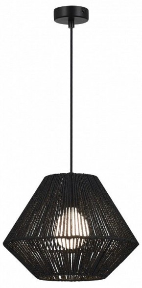 Подвесной светильник EVOLUCE ETTAN SLE6025-403-01 в Талице - talica.ok-mebel.com | фото 2