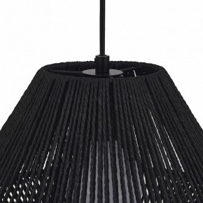Подвесной светильник EVOLUCE ETTAN SLE6025-403-01 в Талице - talica.ok-mebel.com | фото 7