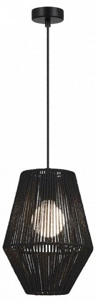 Подвесной светильник EVOLUCE ETTAN SLE6025-413-01 в Талице - talica.ok-mebel.com | фото 2