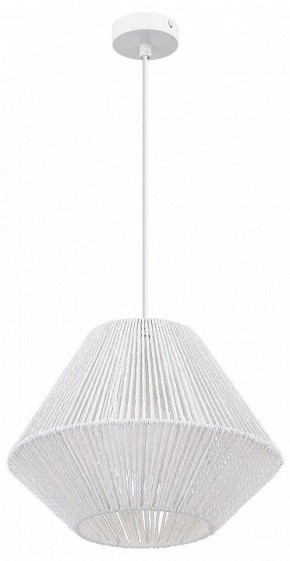 Подвесной светильник EVOLUCE ETTAN SLE6025-503-01 в Талице - talica.ok-mebel.com | фото 3